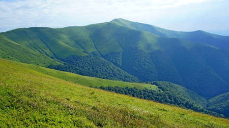 bright green slopes of the mountain range are covered with fresh green grass, alpine bushes, and forest in spring and summer. tourist tents in the distance in the mountains. mountain landscapeの写真素材