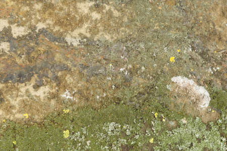 old stone close up. stone textures. stone patternの写真素材