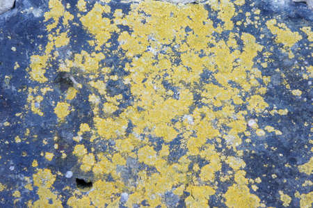 old stone with green lichen close up. stone textures. stone patternの写真素材