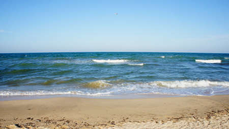sea. ocean. sea surface, light waves, a deserted beach and a lone seagull in a cloudless sky. horizon line. dark blue water, clean sandy beach. Sea of Azovの写真素材