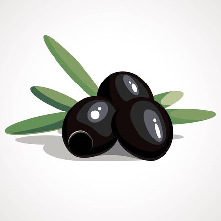 Cartoon illustration of black olivesのイラスト素材
