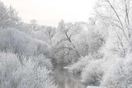 White winter landscape - frosty trees and river in cold morning. Tranquil winter nature.の写真素材