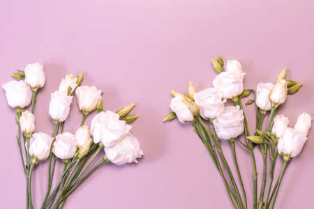 Two bouquets of white roses on pink background. White rose flowers with stems and leaves. Creamy roses bouquets isolated on pink background. Copy space. Flat lay. Mockup for celebration eventsの写真素材