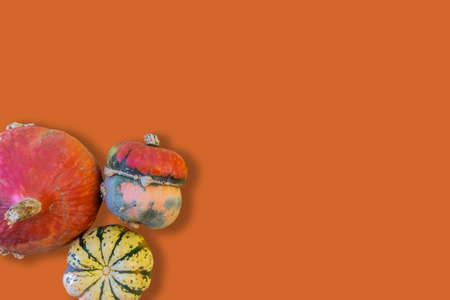 Colorful raw pumpkins in corner isolated on orange background with copy space for Halloween. Top view, flat layの写真素材