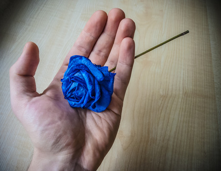 Rose in handの写真素材