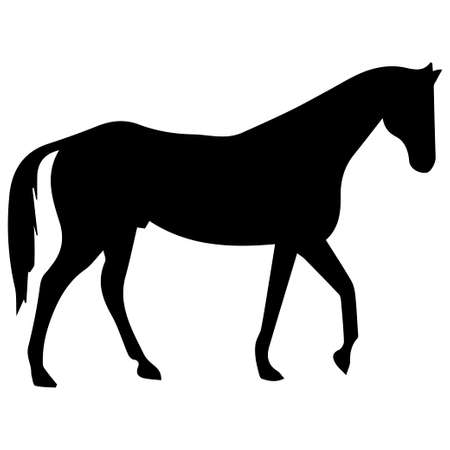 Vector illustration of horses silhouette on white background. Element for design.のイラスト素材