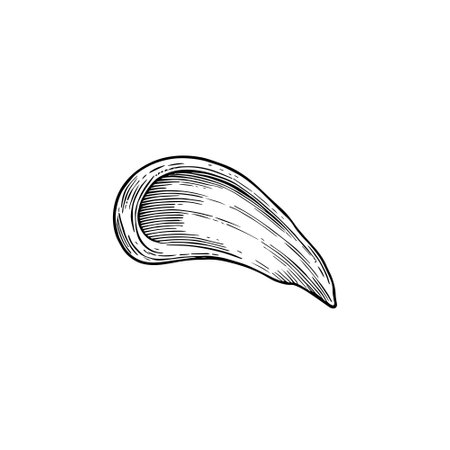 Sea shell sketch icon. Hand drawn vector illustration of seashell.のイラスト素材