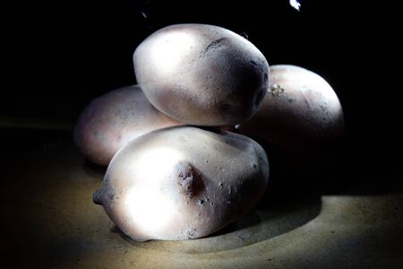 Potato in the light of flashlights from different sides. Potatoes at night. Potato on a dark background.の写真素材