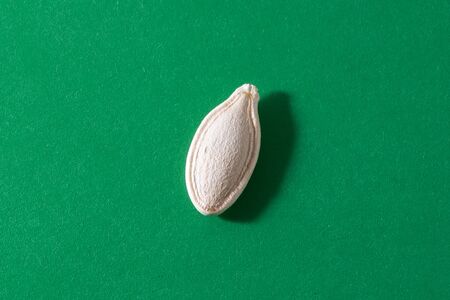 Pumpkin seeds isolated on the green backgroundの写真素材