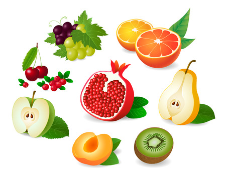 Realistic fruit halves. Apple, kiwi, peach, pear, grapes, orange, grapefruit, pomegranate, cherry, cranberry. Vector illustration.のイラスト素材