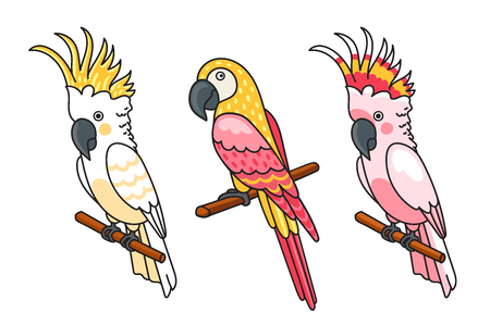 Yellow and pink cockatoos, macow. Cute tropical birds. Vector illustrationのイラスト素材