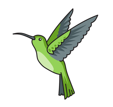 Little green colibri. Hummingbird, tropical little bird. Vector illustrationのイラスト素材