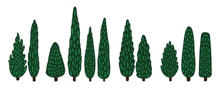 Set of decorative cartoon cypresses. Tall trees collection. Vector flat illustration.のイラスト素材