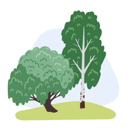 Willow and birch. Forest and park green plants, trees. Elements of landscape. Hand-drawn vector illustration.のイラスト素材