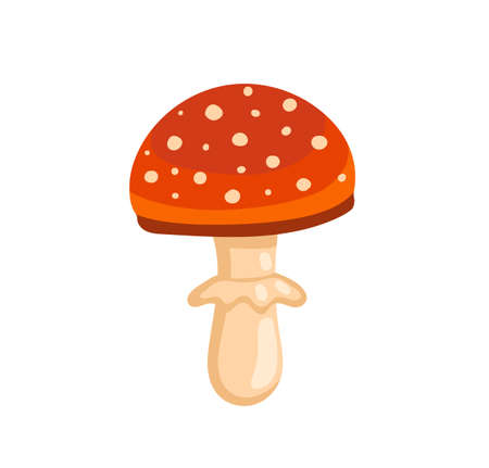 Fly agaric poisonous red mushroom. Amanita muscaria. Forest and woodland element. Hand-drawn cartoon vector isolated illustration.のイラスト素材