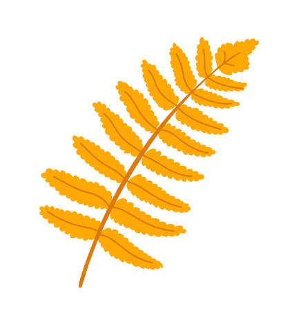 Forest fern. Autumn yellow leaf. Woodland plant. Fall foliage. Hand-drawn isolated vector illustration.のイラスト素材