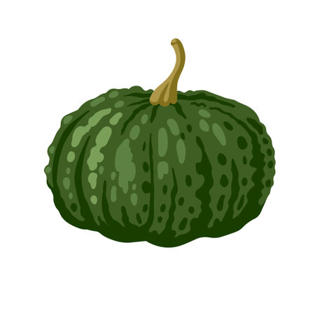 Green pimply decorative pumpkin for halloween and thanksgiving holiday. Gourd, squash seasonal vegetable. Vector hand drawn isolated illustration.のイラスト素材