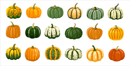 Pumpkin, gourd, squash hand drawn elements. Autumn, fall, thanksgiving and halloween decoration. Cartoon vector illustration set.のイラスト素材