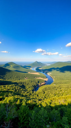 Panoramic view of the river in the mountains. View from above.の写真素材