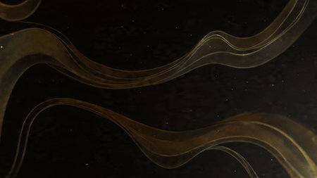 Elegant abstract gold ribbons over a rich black canvas.