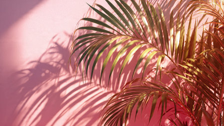 Palm leaves on a pink background. Tropical palm leaves on a pink background.の写真素材