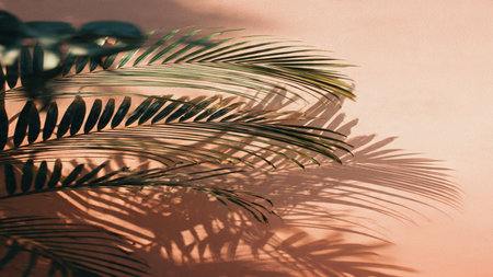 Palm leaves shadow on a pink wall. Tropical summer background.