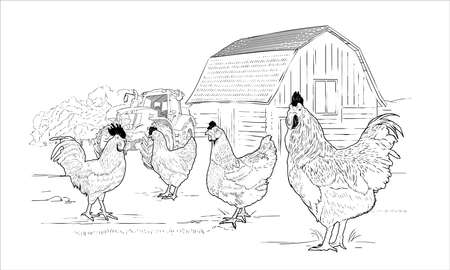 Wooden country farm house sketch engraving  chicken hen rooster on grass field with tractor black and white hand drawn vector illustrationのイラスト素材
