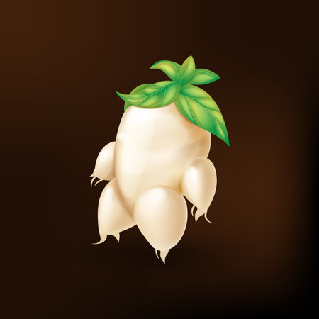 Panax ginseng 3d cute cartoon style super herb for medical on brown backgroundのイラスト素材