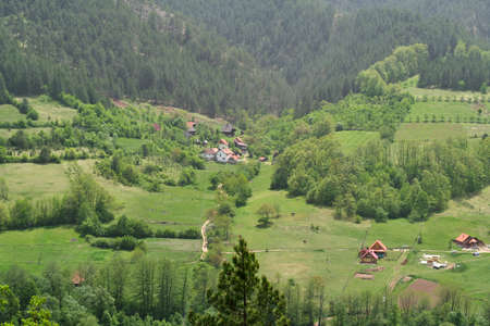 Panorama of a path through forestの写真素材