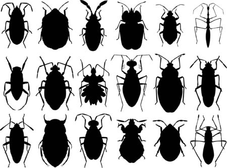 bugs collection - vectorのイラスト素材