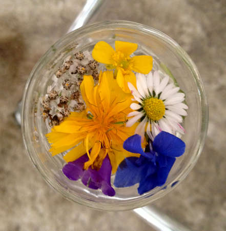 Flowers in glassの写真素材