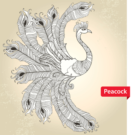 Ornate Peacock in white on the textured beige backgroundのイラスト素材