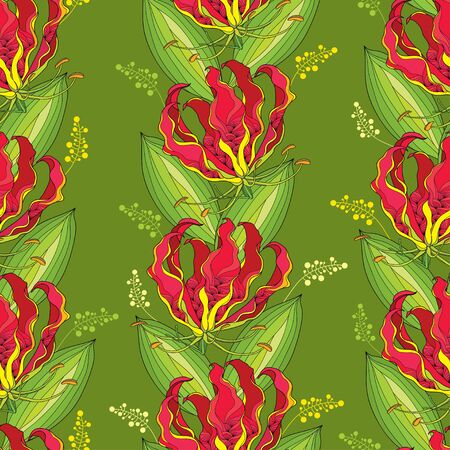 Seamless pattern with Gloriosa superba or flame lily, tropical flower and striped leaf on the green background. Poisonous plant. National flower of Zimbabwe. Floral background in contour style.のイラスト素材