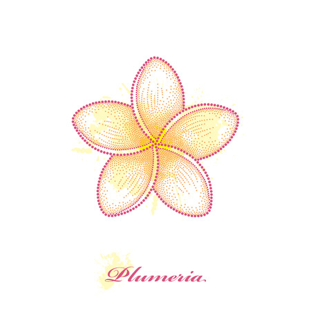 Dotted flower of Plumeria or Frangipani in yellow isolated on white background with blots in pastel colorsのイラスト素材