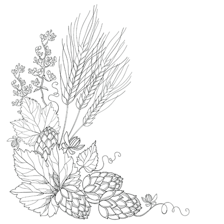 stem with ornate Hops and barley ears. Outline leaves, barley and hops in black isolated. Outline hops and barley for beer and brewery decor. Beer elements in contour style for coloring book.のイラスト素材