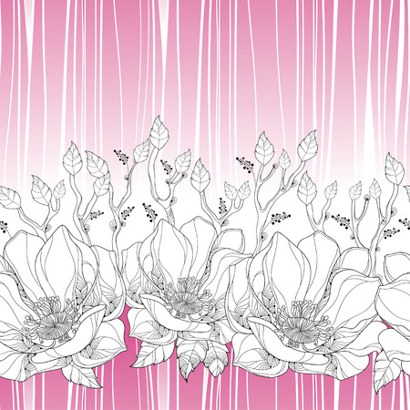 Vector seamless pattern with linear magnolia flower and ornate leaves on the white background with pink stripes. Elegance floral background in contour style for summer design.のイラスト素材