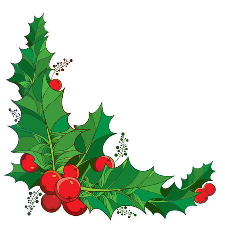 Vector twig with outline green leaves and red berries of Ilex or European Holly isolated on white background. Traditional Christmas symbol in contour style for winter design. Corner composition.のイラスト素材