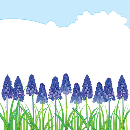 Horizontal border with outline blue muscari or grape hyacinth flowers and green leaves isolated on white.のイラスト素材