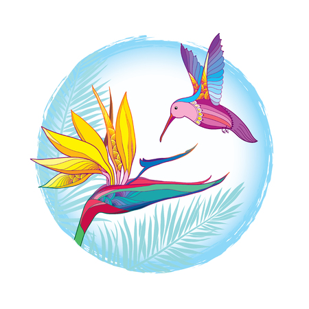Flying Hummingbird or Colibri with Strelitzia reginae in contour style isolated on white background. Outline tropical bird with exotic flower and palm leaves for summer design.のイラスト素材