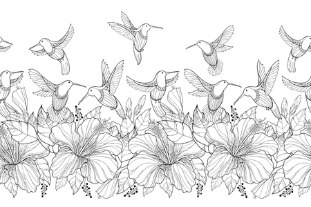 Hibiscus flower and flying Hummingbird or Colibri in contour style.のイラスト素材