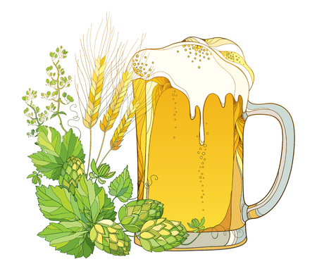 Beer mug with outline Hops or Humulus and ornate wheat ears isolated on white background. Glass in contour style with lager foam beer for Oktoberfest, brewery or pub design.のイラスト素材