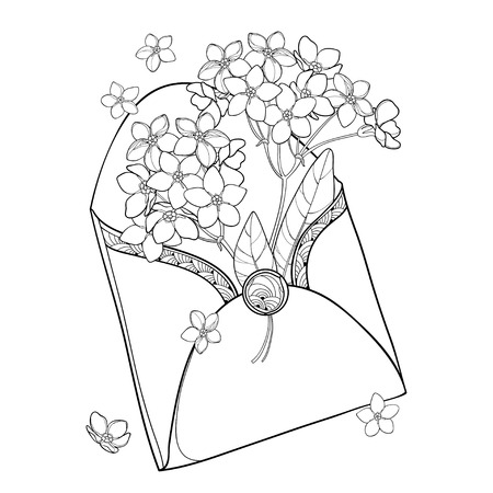 Bouquet with outline forget me not or Myosotis flower in an open-up black craft envelope isolated on white background. Wildflower forget-me-not in contour style for spring design or coloring book.のイラスト素材