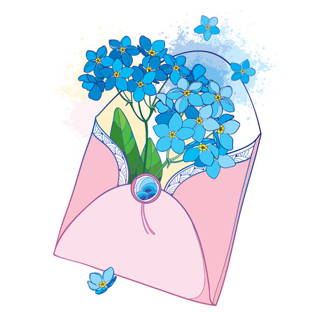 Bouquet with outline blue Forget me not or Myosotis flower in an open pink craft envelope.のイラスト素材