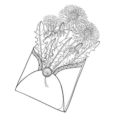 Bouquet with outline Dandelion flower, bud and leaves in open craft envelope in black isolated on white background. Ornate floral for romantic spring design and coloring book in contour style.のイラスト素材
