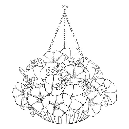 Bouquet with outline Petunia flower, ornate leaf and bud in ornamental flowerpot in black isolated on white background. Home garden plant in contour style for summer design and coloring book.のイラスト素材