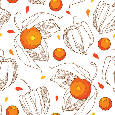 Seamless pattern with outline Physalis or Cape gooseberry or Ground cherry fruit isolated on white background. Contour Physalis plant in pastel orange for autumn design.のイラスト素材