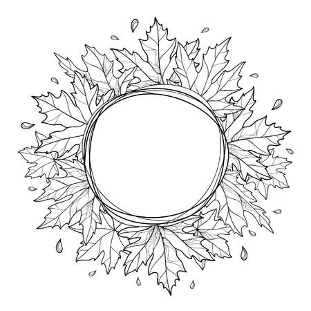 Round frame of bunch with outline Acer or Maple ornate leaf in black isolated on white background. Composition with foliage of Maple tree in contour style for autumn design or coloring book.のイラスト素材