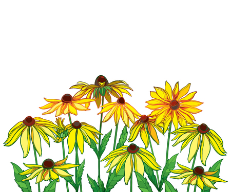 Bouquet with outline Rudbeckia hirta or black-eyed flower, isolated on white background. Contour ornate design and coloring book.のイラスト素材