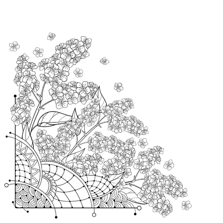 Corner bouquet with outline Bird cherry flower in black.のイラスト素材