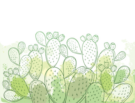 Bush of Opuntia plant or prickly pear cactus in pastel.のイラスト素材